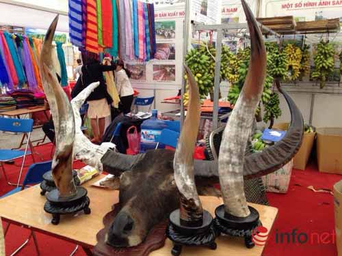 Sập gỗ, bàn ghế vài trăm triệu đổ về HN - 9