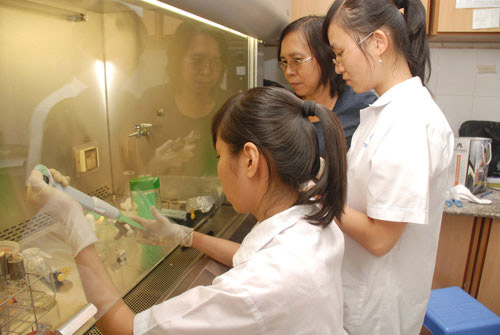 Chặt chẽ kiểm định chất lượng ĐH - 2