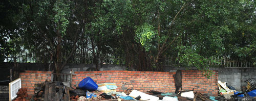 Phát hiện vụ chế tác rùa biển quý hiếm lớn nhất nước - 3