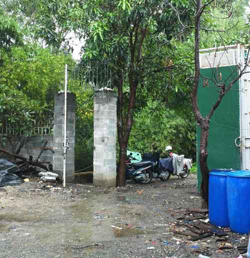 Phát hiện vụ chế tác rùa biển quý hiếm lớn nhất nước - 4