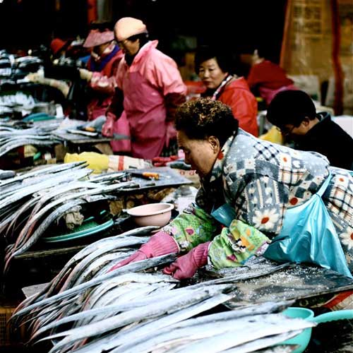 Đến thăm chợ hải sản Jagalchi nổi tiếng xứ Hàn - 1