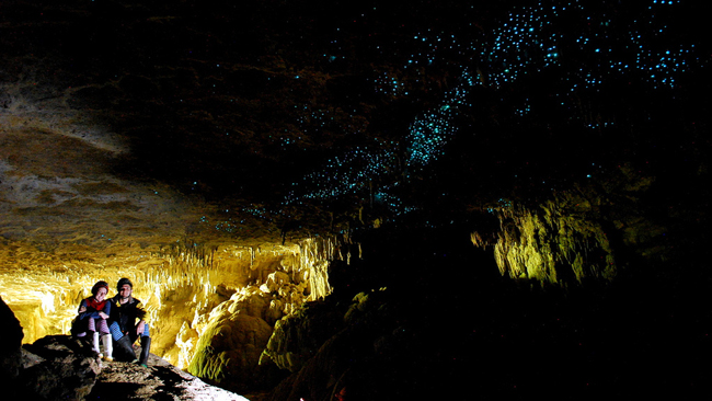 16. Hang động đom đóm Waitomo Glowworm, New Zealand

Hang động Waitomo Glowworm thuộc đảo Bắc, New Zealand nổi tiếng với vô vàn những con đom đóm phát ra ánh sáng kỳ diệu. Bất cứ ai khi lần đầu đặt chân tới đây đều phải ngỡ ngàng trước vẻ đẹp huyền bí như những ngôi sao xuất hiện dưới lòng đất của nó.
