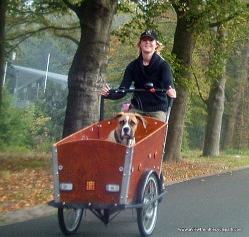 Thú vị "Vương quốc xe đạp" ở Hà Lan - 6