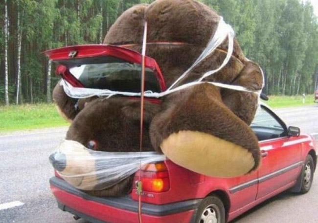 Ô tô là phải chở gấu khủng
