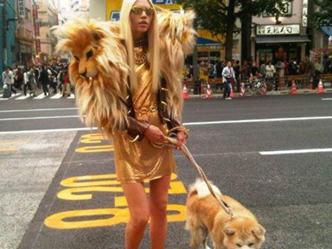 Mặc áo lông sư tử dắt cún cưng đi dạo
