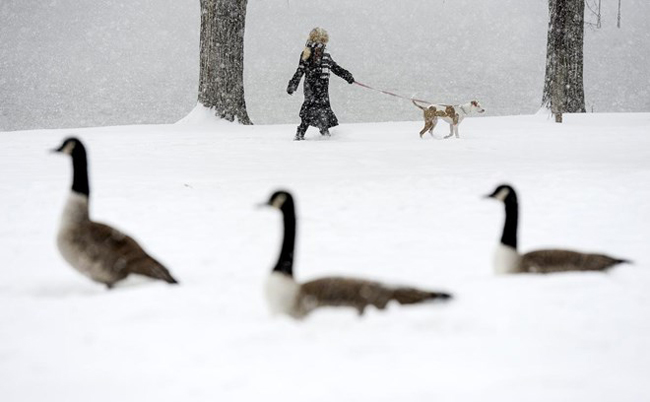 Người phụ nữ dắt cho đi dạo cạnh hồ Prospect khi tuyết rơi ở Colorado (Mỹ) ngày 11/11. Ảnh: AP.
