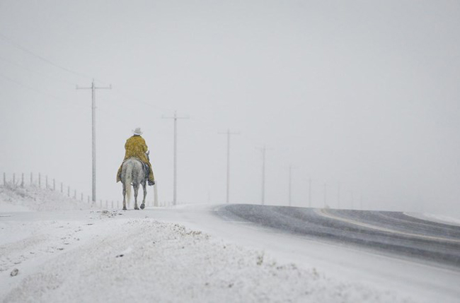 Mục sư Len Crow cưỡi ngựa đi qua con đường mùa đông ở gần Cremona, Alberta, ngày 1/11. Ông Crow từng cưỡi ngựa 11.000km khắp Mexico để gây quỹ xây dựng nhà trẻ ở Mexico, Campuchia, Philippines, Guatemala và Ấn Độ. Ảnh: AP.

