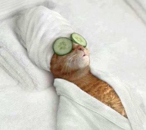 Liên khúc vừa làm đẹp vừa... cười - 4