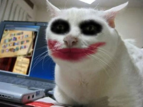 Liên khúc vừa làm đẹp vừa... cười - 2