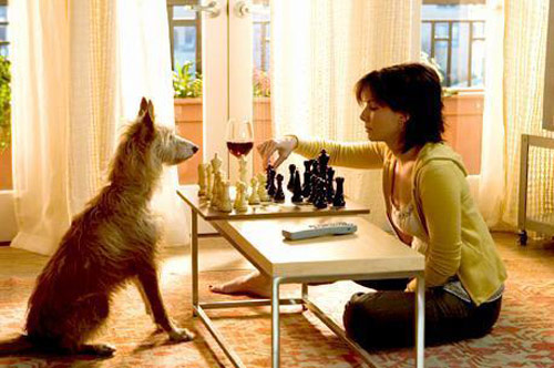 Trailer phim: The Lake House - 2