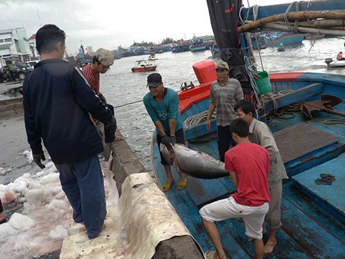 Vào Bình Định, Phú Yên, bão số 4 suy yếu - 2