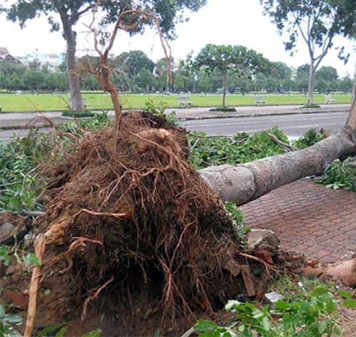 Hậu bão số 4: Nhà sập, kè chắn sóng sạt lở - 1