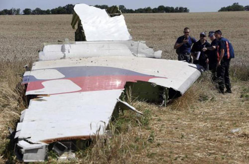 Mẹ nạn nhân MH17 đòi bồi thường 1 triệu USD - 1