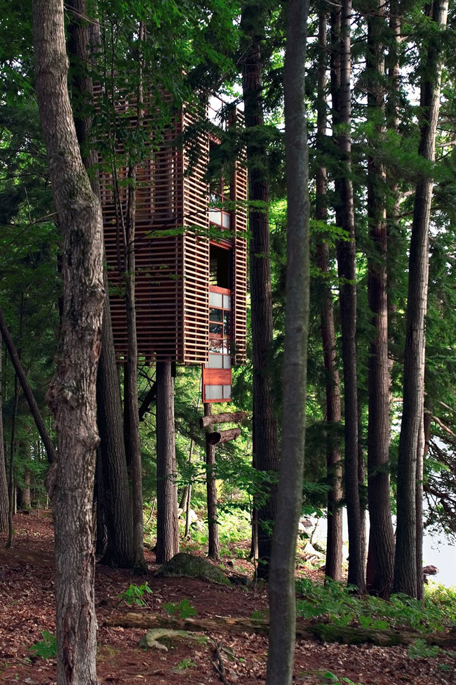 Được thiết kế bởi Lukasz Kos, ngôi nhà được xây dựng quanh bốn thân cây không lồ trên hồ Muskoka ở Ontario, Canada.


