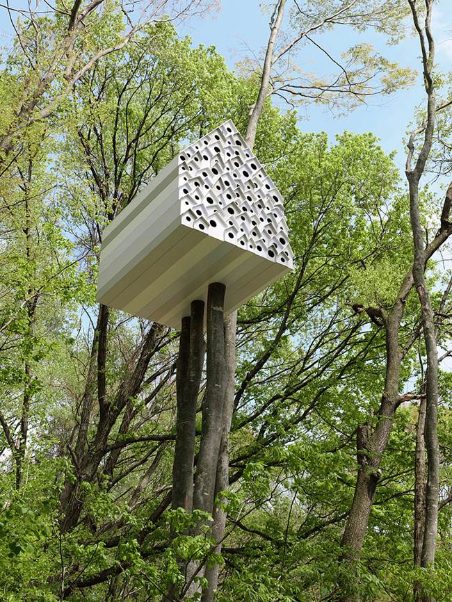 Ngôi nhà trên cây hiện đại ở Nhật Bản này giúp bạn có thể thấu hiểu cuộc sống của những loài chim sau bức tường đặc biệt.


