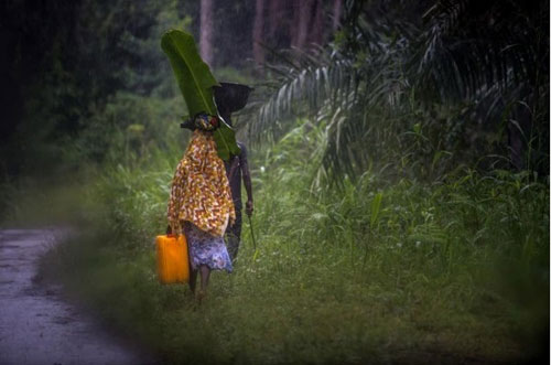 Không tin bác sỹ, bố ôm con nhiễm Ebola trốn vào rừng - 4