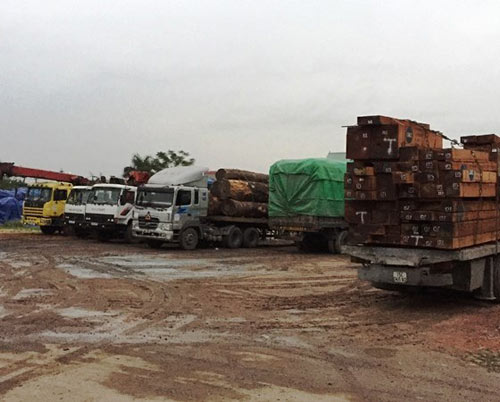Hải Dương: Bắt 8 xe chở gỗ quá tải cố tình “né” trạm cân - 1