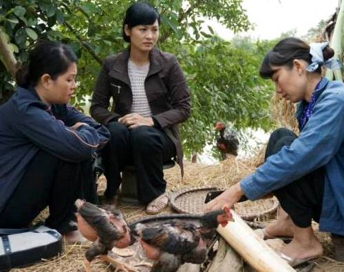 Bão qua làng: Hết phim chưa hết "bão" - 1