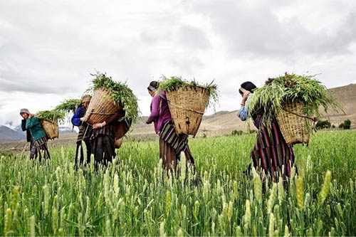 "Vương quốc bị lãng quên" ẩn khuất trong dãy Himalaya - 8