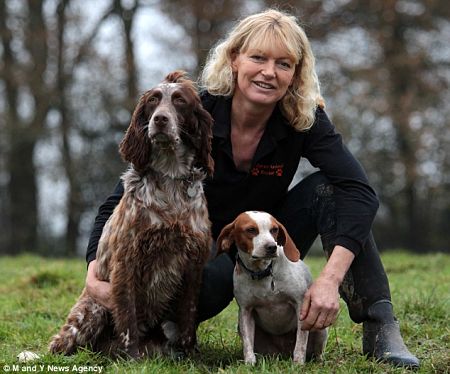 Chú chó nhịn đói không chịu rời "bạn trai" bị thương - 4