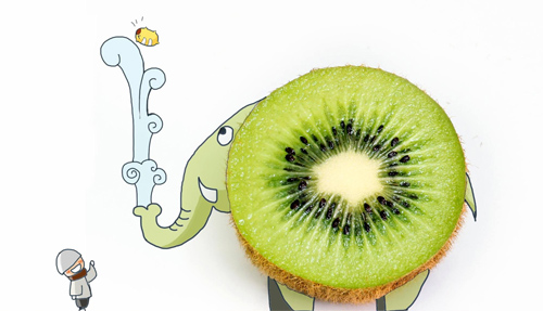 9x vẽ tranh “độc” từ vỏ hoa quả, kẹo mút - 3