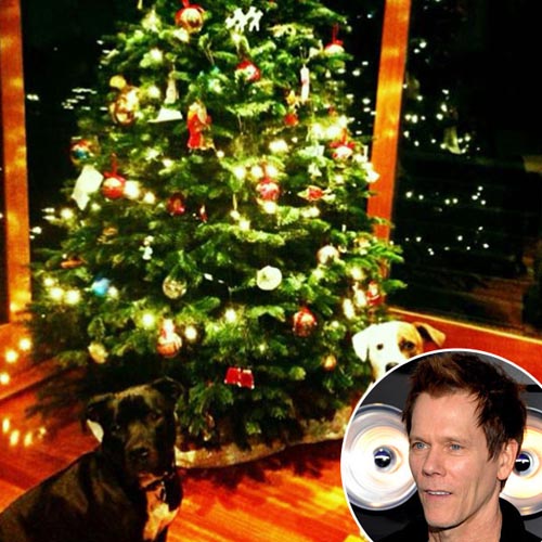 Sao Hollywood tất bật trang trí nhà cửa dịp Giáng sinh - 5