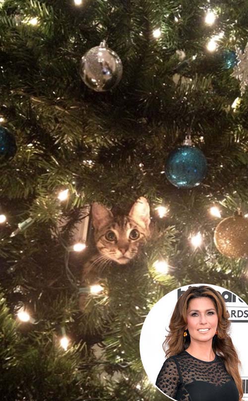 Sao Hollywood tất bật trang trí nhà cửa dịp Giáng sinh - 9