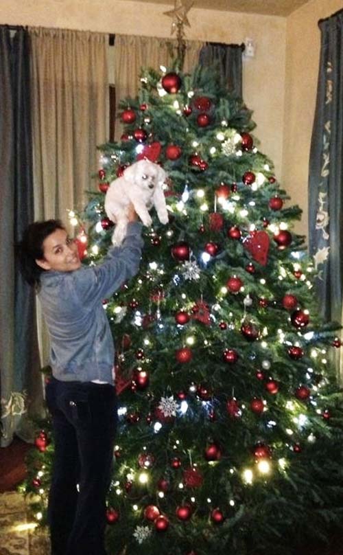 Sao Hollywood tất bật trang trí nhà cửa dịp Giáng sinh - 11