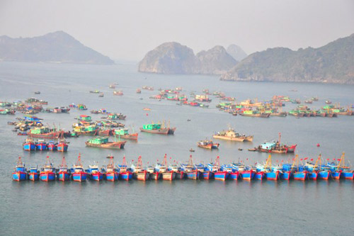 Cát Bà, "thiên đường bình yên" trên vịnh Bắc Bộ - 3