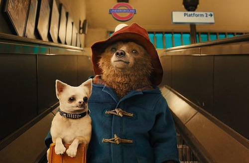 Phim "Gấu Paddington" khiến khán giả Âu - Úc phấn khích - 1