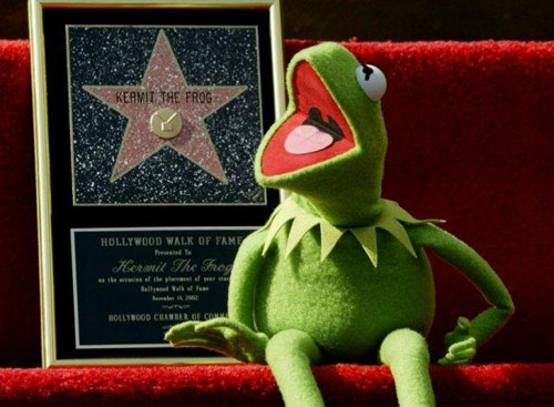 Image result for Chú ếch Kermit