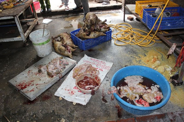 Phát hiện cơ sở giết mổ động vật hoang dã giữa Thủ đô - 2