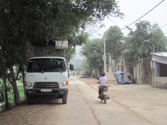 Về làng buôn chó lớn nhất xứ Thanh - 6