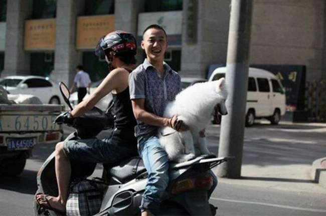 Những hình ảnh hài hước về giao thông - 2