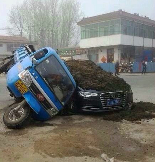 Những hình ảnh hài hước về giao thông - 5