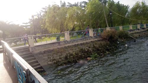 Đi câu cá, phát hiện xác người nổi trên sông Sài Gòn - 1