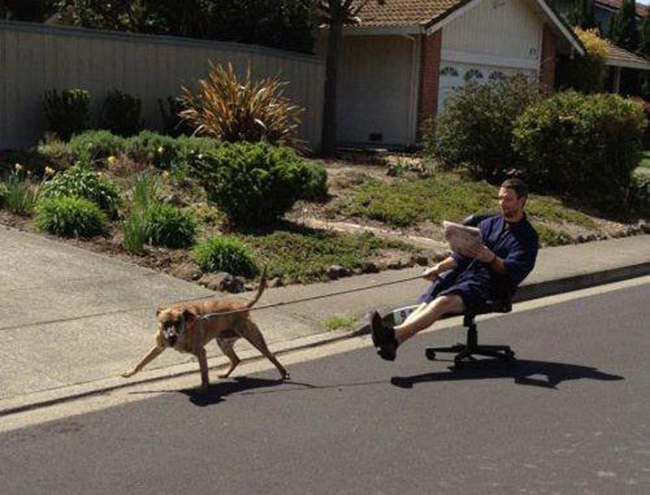 Cười lộn ruột với những người lười “vô đối“ - 3