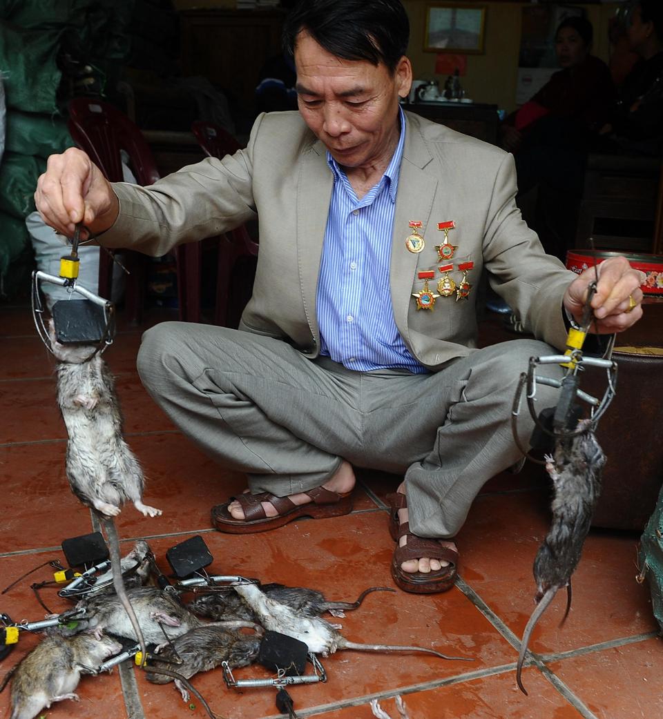 Vua Chuot O Viet Nam: Ông