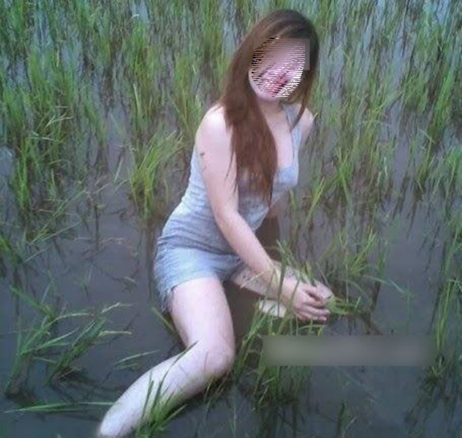 Cô gái không ngại bẩn chụp ảnh ngay dưới ruộng lúa
