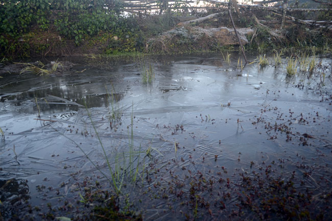 Lào Cai: Thời tiết lạnh giá, nước đóng thành băng - 1
