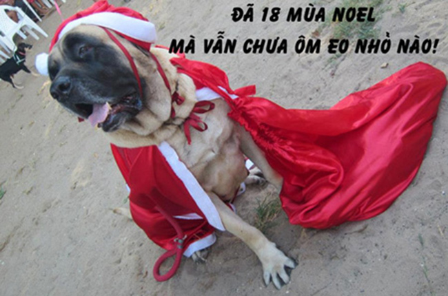 Dân FA đua nhau chế ảnh ngày Noel - 1