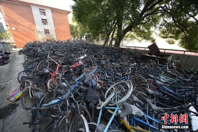 Trường đại học biến thành “Nghĩa địa xe đạp” - 1