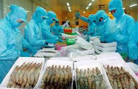 EU cảnh báo ngừng nhập thủy sản Việt Nam - 1