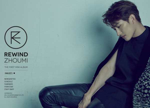 4 nghệ sĩ solo thành công nhất làng nhạc Kpop - 3