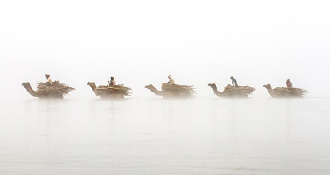 4 chú lạc đà và những người cưỡi chúng đi ngang qua sông Chambal, Ấn Độ.

Ảnh: Patrick Griffiths/TPOTY, Anh Quốc

Giải thưởng được đề cập đặc biệt tại hạng mục 'Ảnh về đất, không khí, lửa, nước' 
