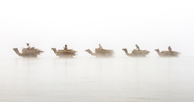 4 chú lạc đà và những người cưỡi chúng đi ngang qua sông Chambal, Ấn Độ.

Ảnh: Patrick Griffiths/TPOTY, Anh Quốc

Giải thưởng được đề cập đặc biệt tại hạng mục "Ảnh về đất, không khí, lửa, nước"&nbsp;
