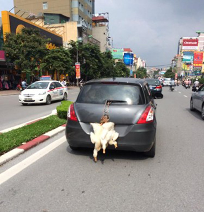 Bà con ơi, “dị nhân” xuống phố kìa - 3