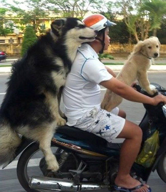 Bà con ơi, “dị nhân” xuống phố kìa - 7