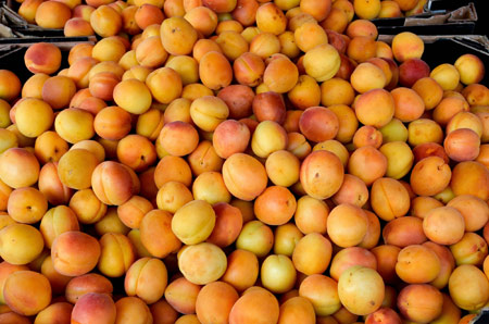 Trái mơ và thức uống thiên nhiên tuyệt vời - 3