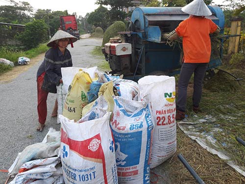 Chùm ảnh: Nông dân hớt hải gặt lúa chạy đua bão Cầu Vồng - 12